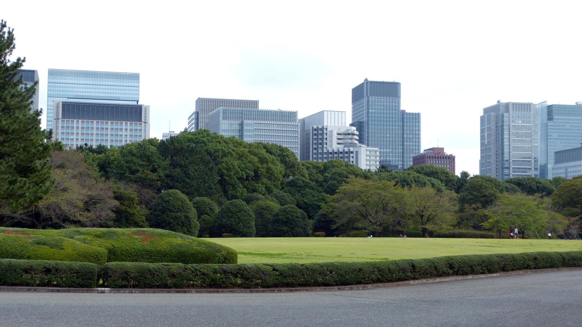 manicured trees and hedges line short gress